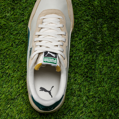 Golfskor Herr I Puma Helsinki I Ivory Green