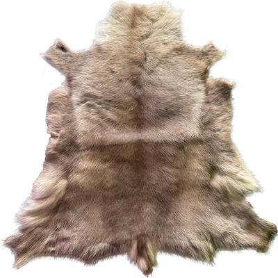 Renskinn