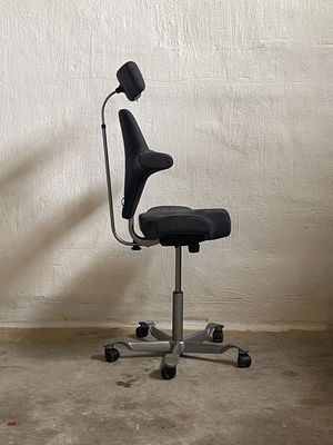 HÅG Capisco 8107