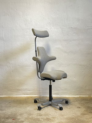 HÅG Capisco 8107 Beige
