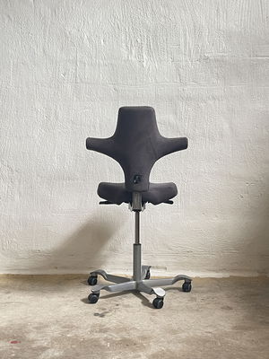 HÅG Capisco 8106