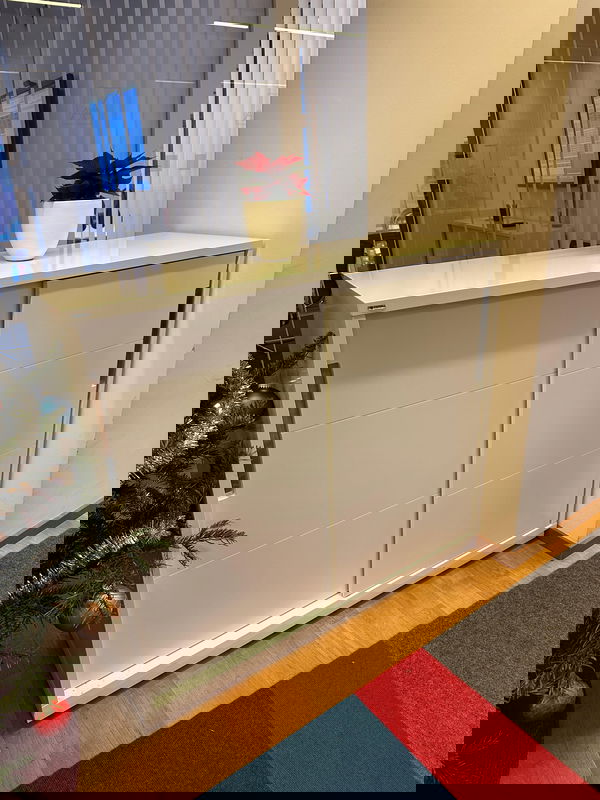 EDSBYN Förvaringsskåp 120x105cm