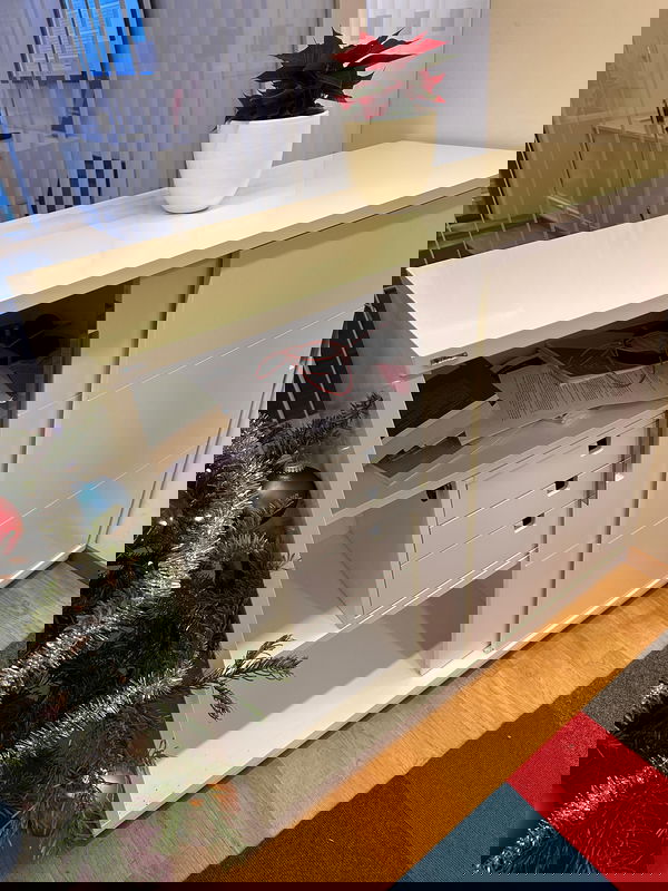 EDSBYN Förvaringsskåp 120x105cm