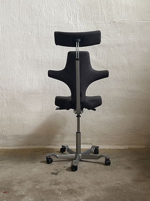 HÅG Capisco 8107