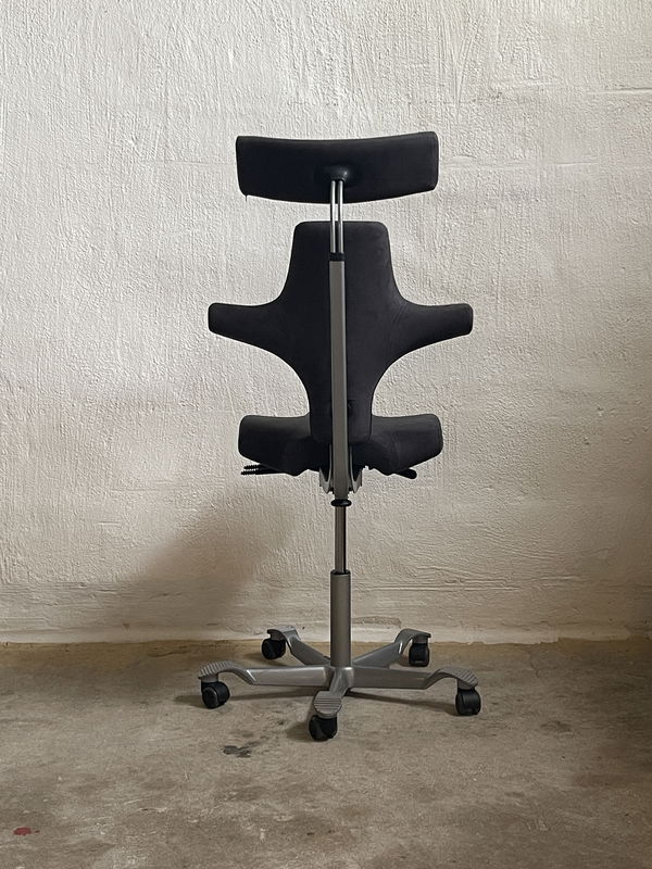 HÅG Capisco 8107
