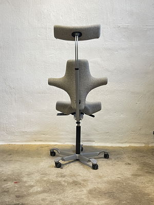 HÅG Capisco 8107 Beige