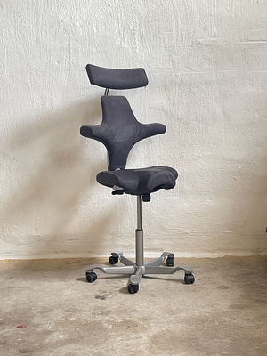 HÅG Capisco 8107 Grå m. fotring