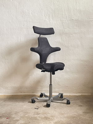 HÅG Capisco 8107