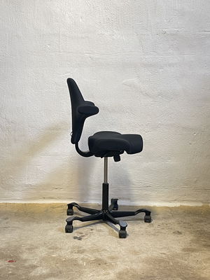 HÅG Capisco 8106