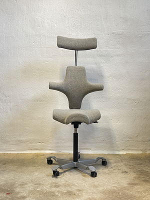 HÅG Capisco 8107 Beige