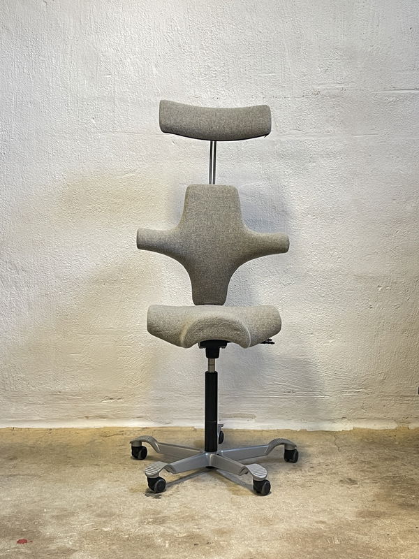 HÅG Capisco 8107 Beige