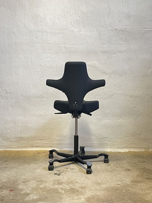 HÅG Capisco 8106