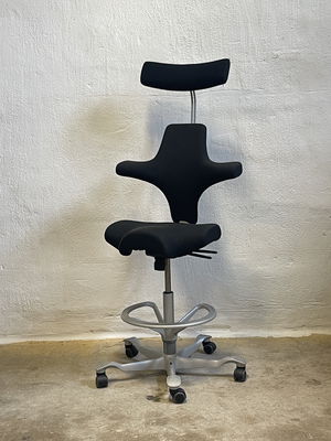 HÅG Capisco