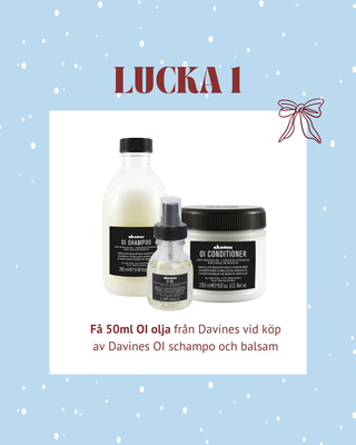 Davines OI duo