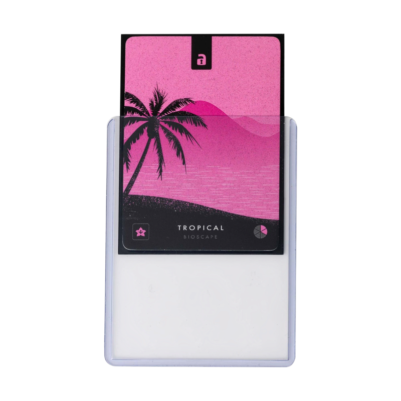 Vault X: Seamless Rigid Toploaders 35pt - 25-Pack