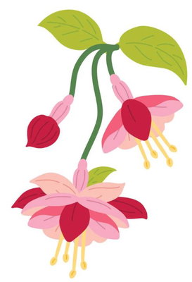 Spellbinders - Etched Dies - Magical Fuchsia S3-574