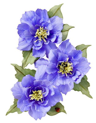 Spellbinders - Etched Dies - Clematis Poet S5-712