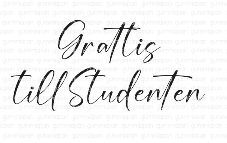 Gummiapan - Stämplar - Grattis till Studenten  25040102