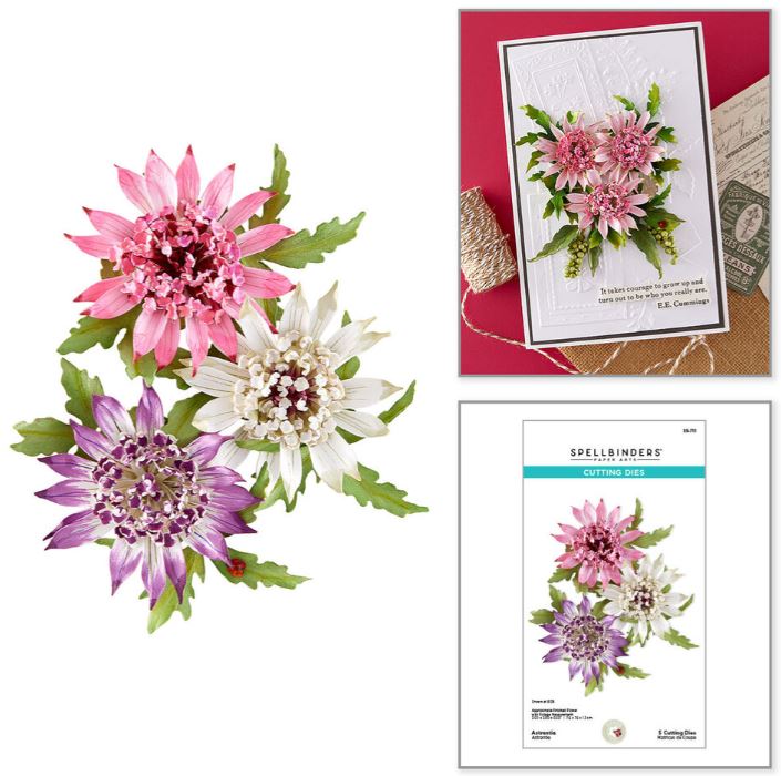 Spellbinders - Etched Dies - Serenity Garden  Astrantiaby S5-711