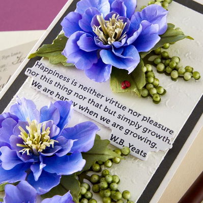 Spellbinders - Etched Dies - Clematis Poet S5-712