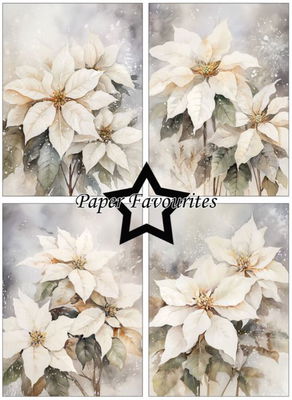 Paper Favourites - A6  Paper Pack - Poinsettia PFA595