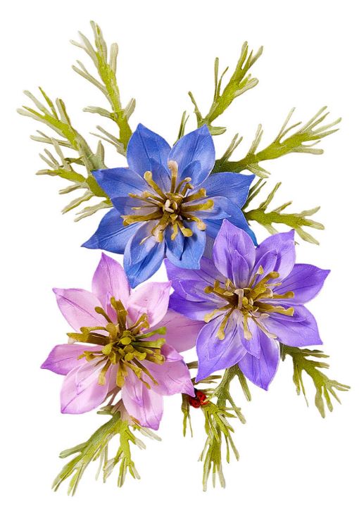 Spellbinders - Etched Dies - Love-in-a-Mist S3-559