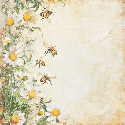 Reprint - Paperpack 12x12 - Summer