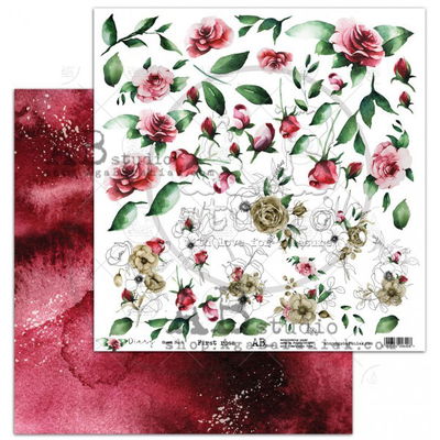 AB studio - Diary - scrapbooking paper set 8x 12x12 + bonus