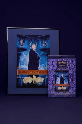 DMC Broderi Harry Potter-BK2026/82.