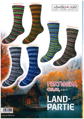 Fortissima Color "Land-Partie"  4-fach,  6 färger á 1,0 kg.