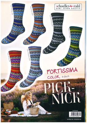 Fortissima Color "Pick-Nick"  4-fach,  6 färger á 1,0 kg.