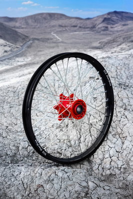 WHEEL DIRTSTAR 1.60X21 36H RD