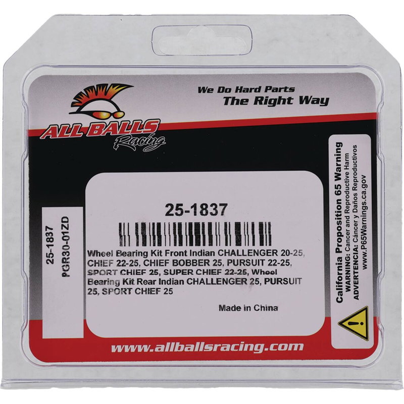 BEARING KIT WHEEL INDIAN