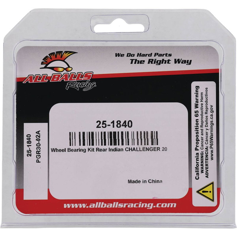 BEARING KIT WHEEL INDIAN