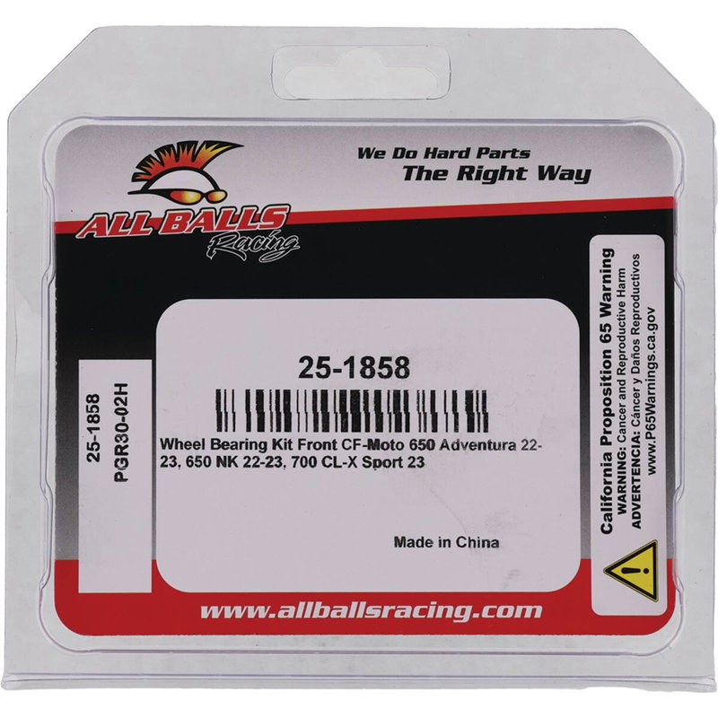 BEARING KIT WHEEL CF MOTO