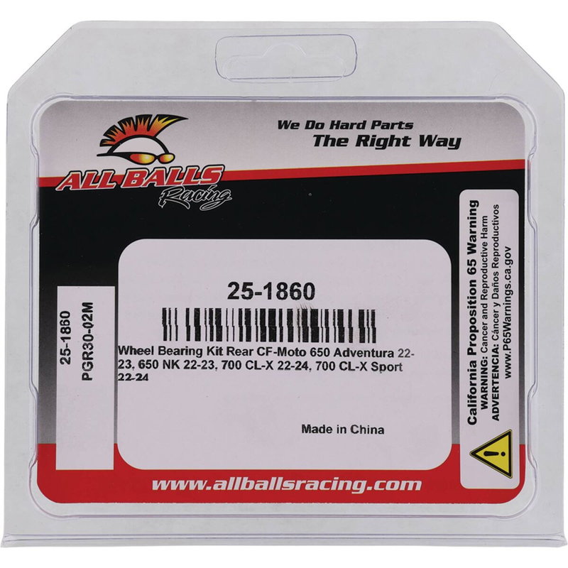 BEARING KIT WHEEL CF MOTO