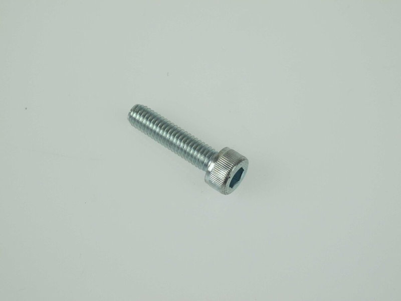 BOLT SOCKET HEAD 6mm x 25mm