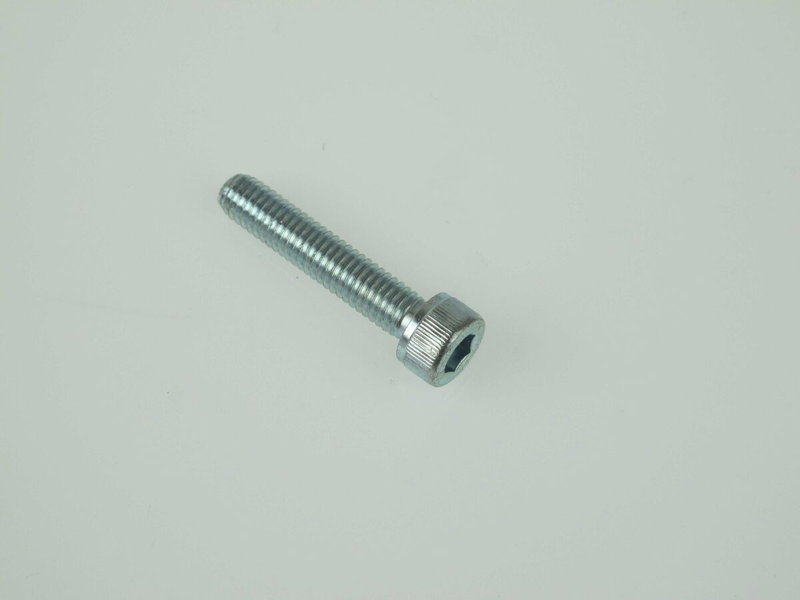 BOLT SOCKET HEAD 6mm x 30mm