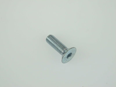 BOLT FLAT HEAD 8mm x 25mm