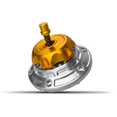 GAS CAP - FLT 24-UP - SILVER/G