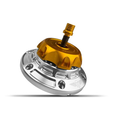 GAS CAP - FLT 24-UP - SILVER/G