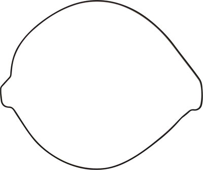 Outer Clutch Gasket Kit