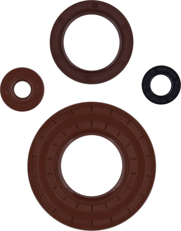 OIL SEAL SET MSE CANAM MSE