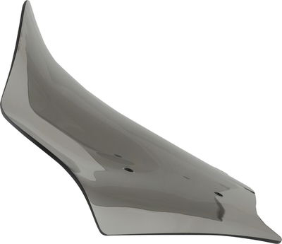 FLH - 2023+ - 12 - TINT