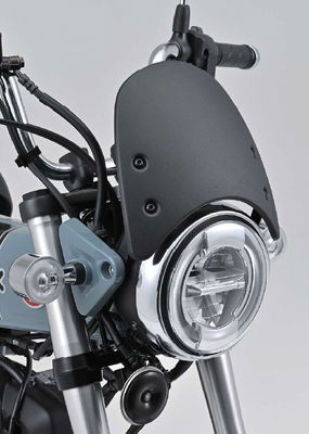 METER VISOR & BRACKET SET MONK