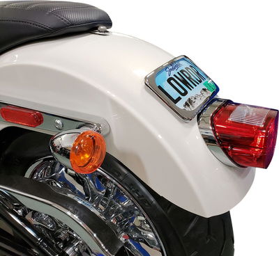 MOUNT LIC PLT RADIUS WIDE