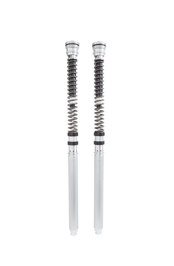 CARTRIDGE APRILIA RSV4 (ÖHLINS