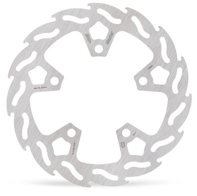 BRAKE DISC FLAME FIXED REAR CF