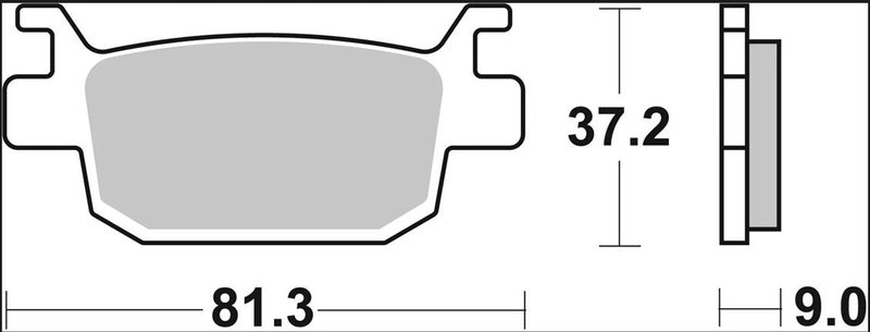 BRAKE PAD CC CAR/CER RR