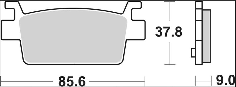 BRAKE PAD CC CAR/CER RR